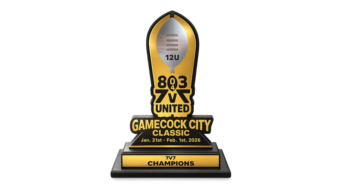 How to Choose a Custom Trophy for a Youth Sports League